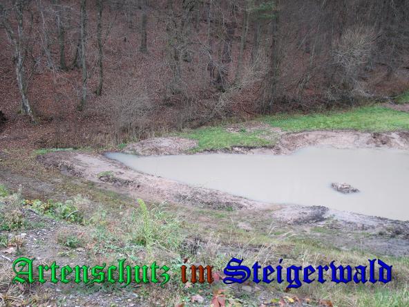 Bild zum Eintrag (33363-160)