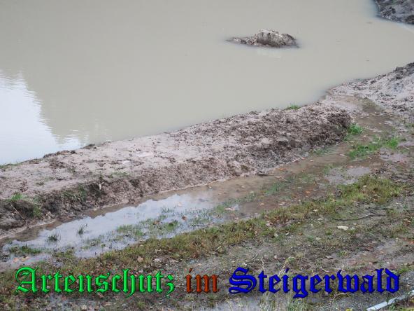 Bild zum Eintrag (33365-160)