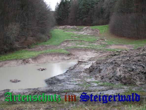 Bild zum Eintrag (33366-160)