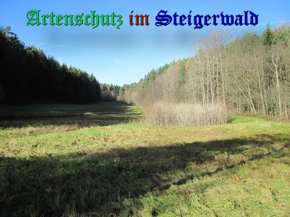 Bild zum Eintrag (33413-160)