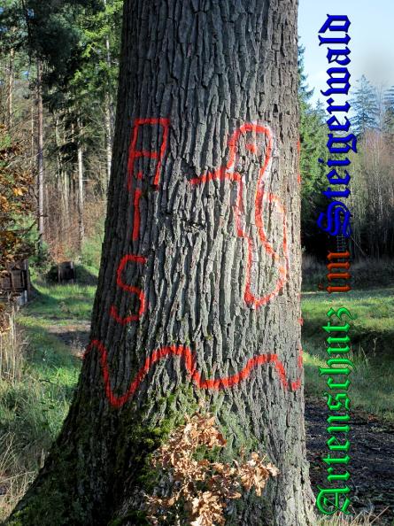 Bild zum Eintrag (33418-160)