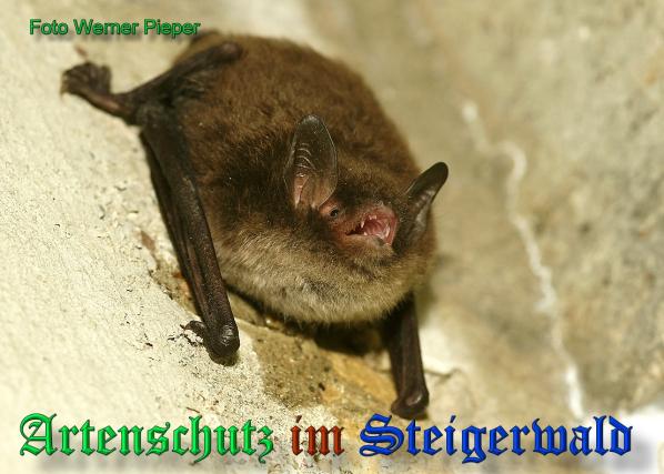 Copyright AiS - Werner Pieper Bild zum Eintrag (33443-160)
