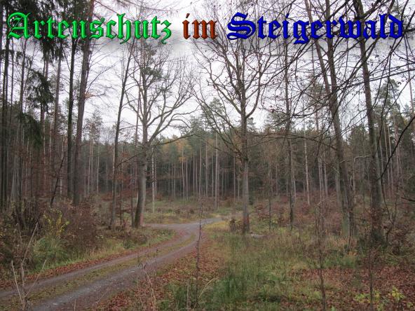 Bild zum Eintrag (33469-160)