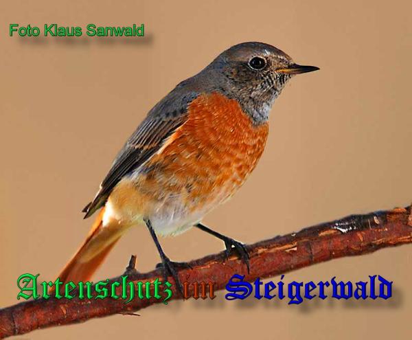 Copyright AiS-Klaus Sanwald Bild zum Eintrag (33537-160)