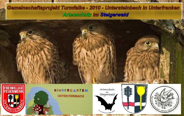 Copyright AiS - Collage - Klaus Sanwald Bild zum Eintrag (33630-160)
