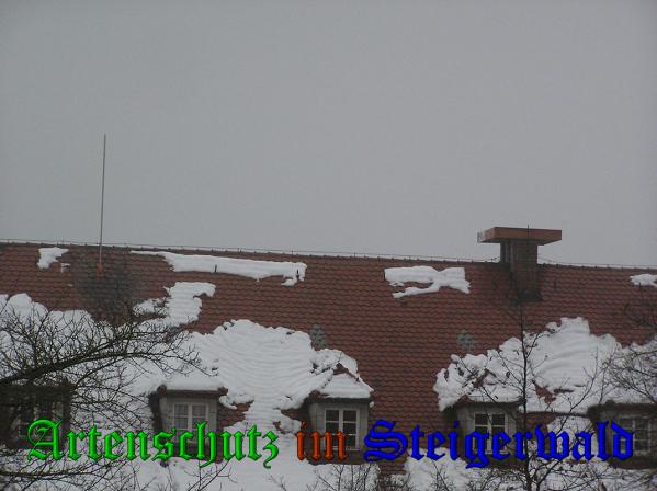Copyright AiS - Kunze Bild zum Eintrag (33805-160)