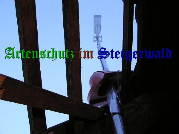 Copyright AiS - Kunze Bild zum Eintrag (33822-160)