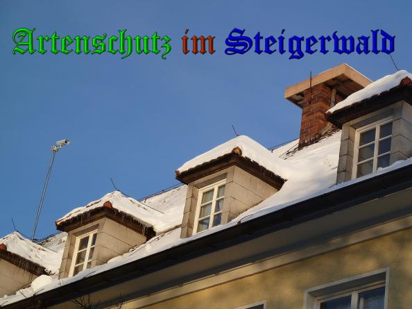 Copyright AiS - Nastvogel Bild zum Eintrag (33843-160)