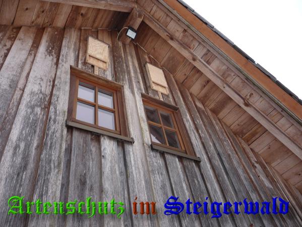 Bild zum Eintrag (33993-160)