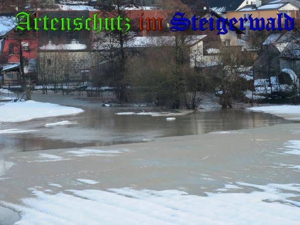 Bild zum Eintrag (34387-160)