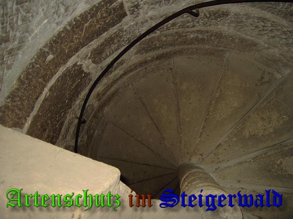 Copyright AiS Bild zum Eintrag (34605-160)