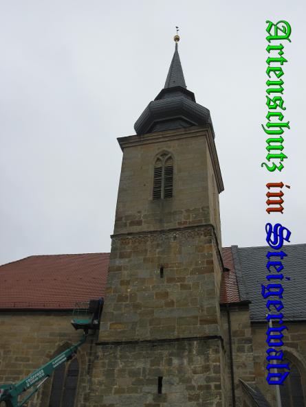 Bild zum Eintrag (34869-160)
