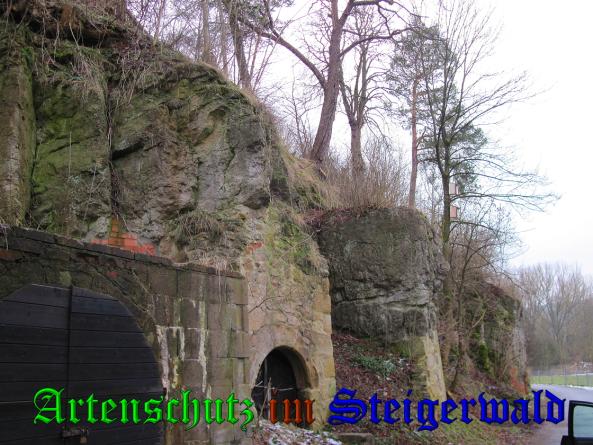 Bild zum Eintrag (34870-160)