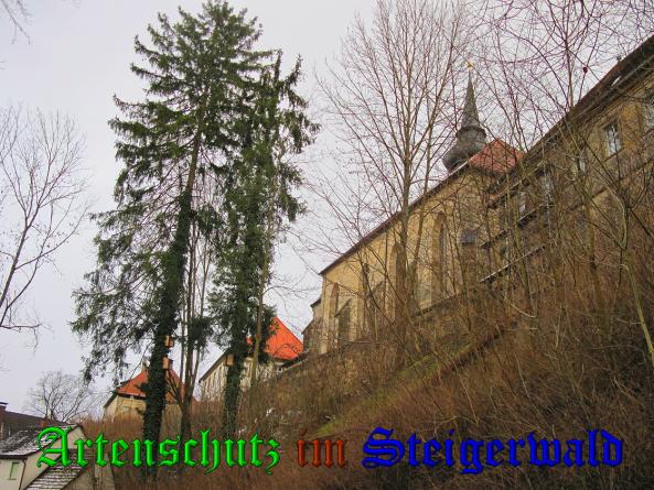 Bild zum Eintrag (34872-160)