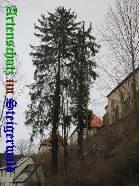 Bild zum Eintrag (34873-160)