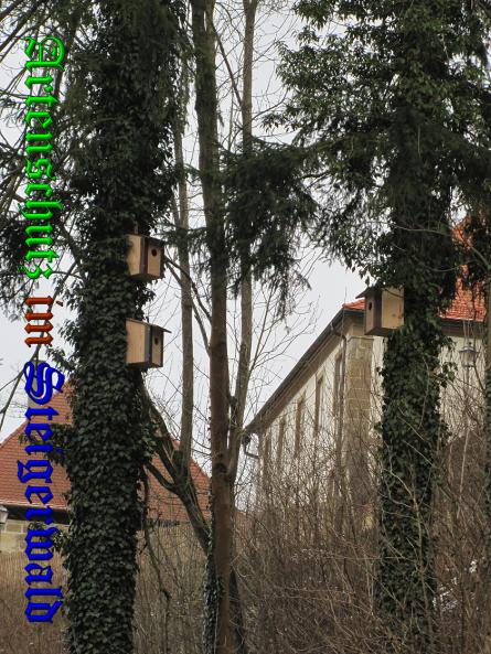 Bild zum Eintrag (34874-160)