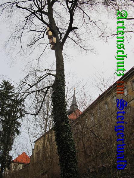 Bild zum Eintrag (34875-160)