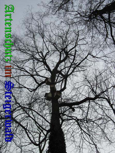 Bild zum Eintrag (34876-160)