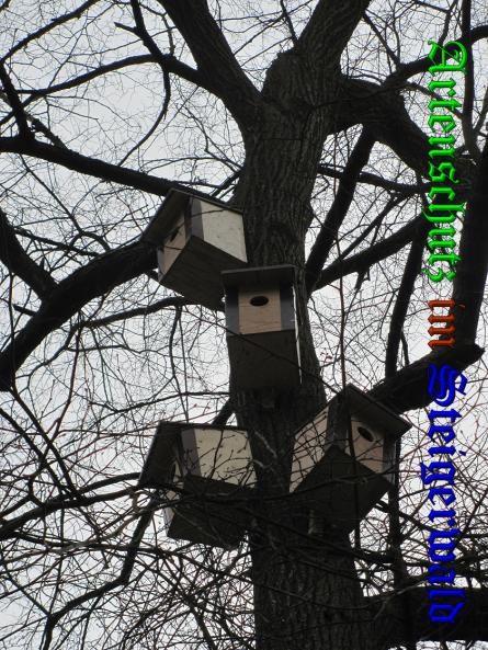 Bild zum Eintrag (34878-160)
