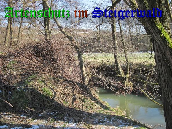 Bild zum Eintrag (35022-160)