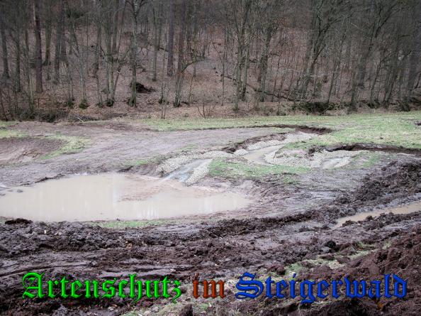 Bild zum Eintrag (35118-160)