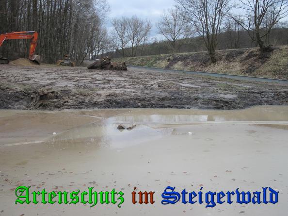 Bild zum Eintrag (35119-160)