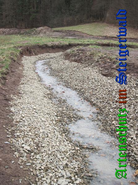Bild zum Eintrag (35120-160)