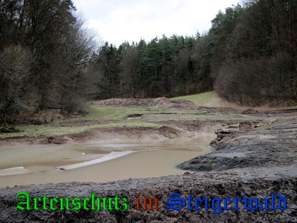 Bild zum Eintrag (35121-160)