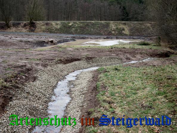 Bild zum Eintrag (35122-160)