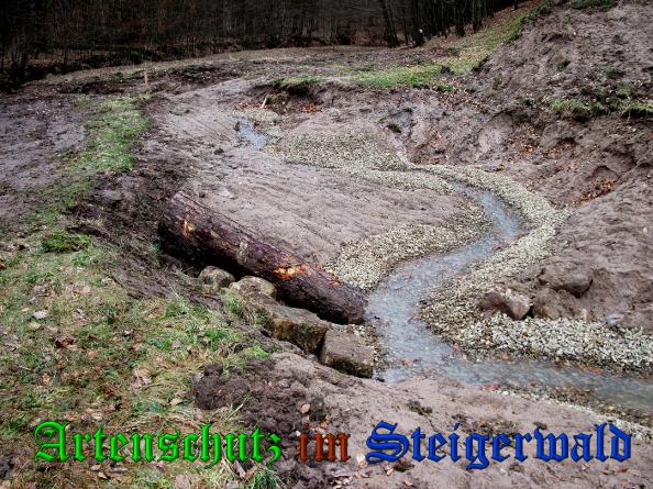 Bild zum Eintrag (35125-160)