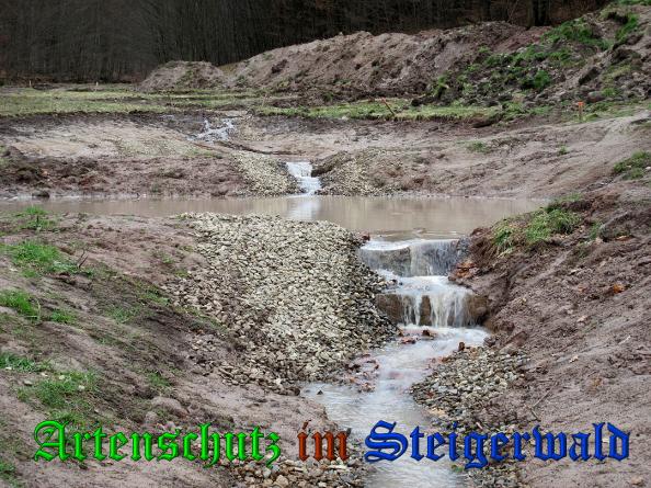 Bild zum Eintrag (35136-160)