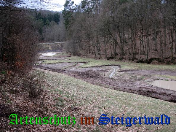 Bild zum Eintrag (35143-160)