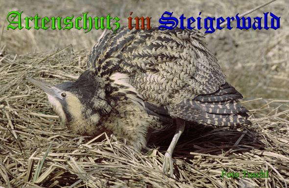 Copyright AiS - Heinz Tuschl Bild zum Eintrag (35248-160)