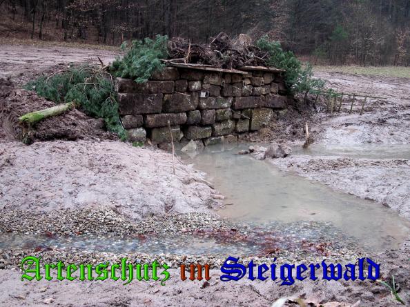 Bild zum Eintrag (35259-160)