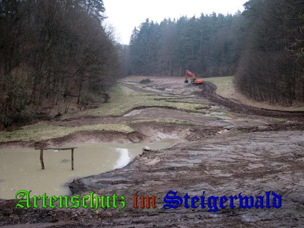 Bild zum Eintrag (35268-160)