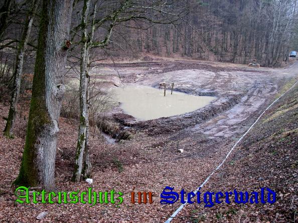 Bild zum Eintrag (35273-160)