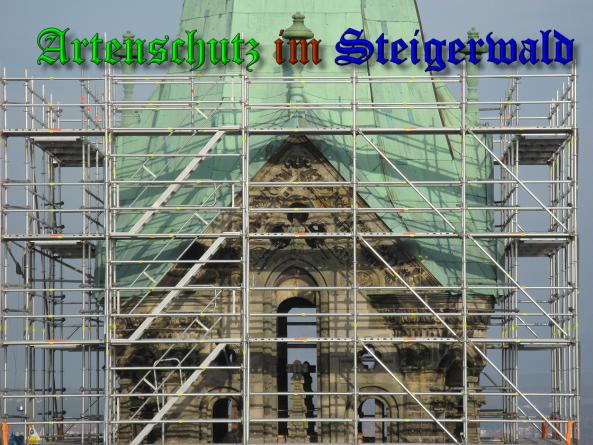 Bild zum Eintrag (35432-160)