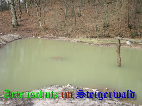 Bild zum Eintrag (35466-160)