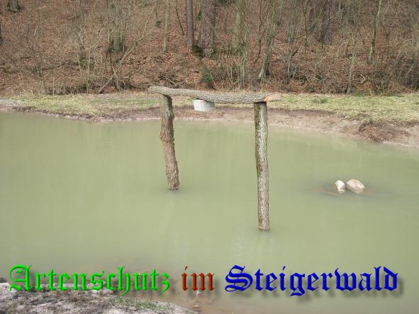 Bild zum Eintrag (35467-160)