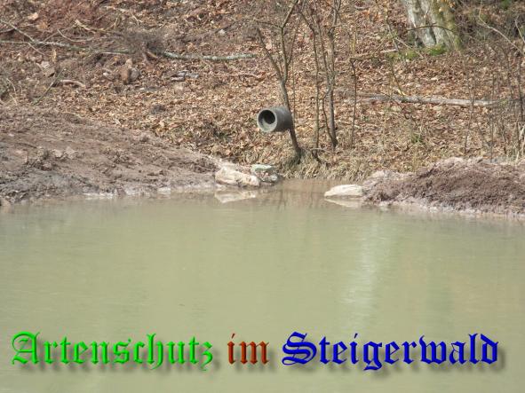 Bild zum Eintrag (35468-160)