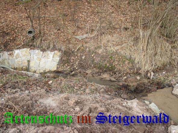 Bild zum Eintrag (35469-160)