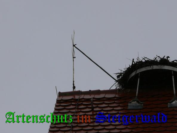 Bild zum Eintrag (35603-160)