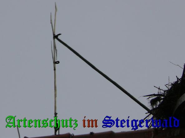 Bild zum Eintrag (35604-160)