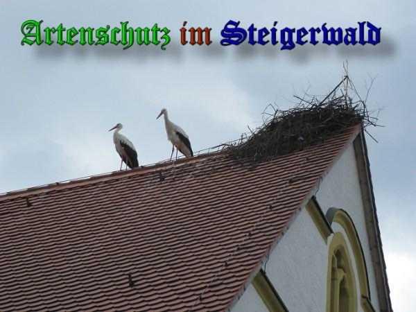 Bild zum Eintrag (35605-160)