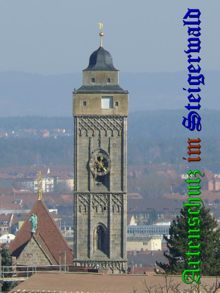 Bild zum Eintrag (35617-160)