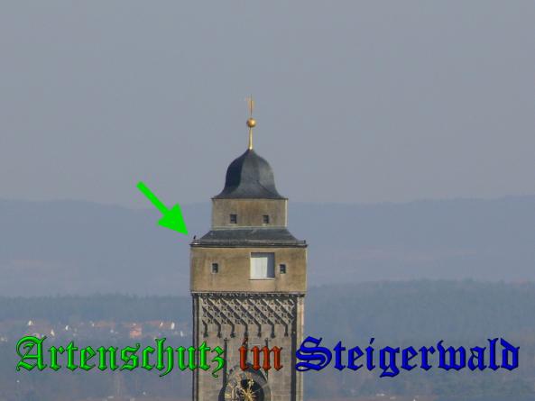 Bild zum Eintrag (35619-160)