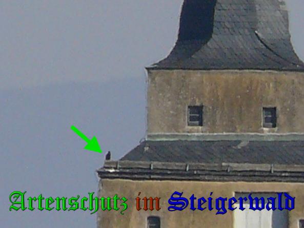 Bild zum Eintrag (35620-160)