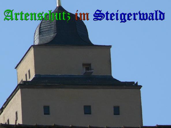 Bild zum Eintrag (35621-160)