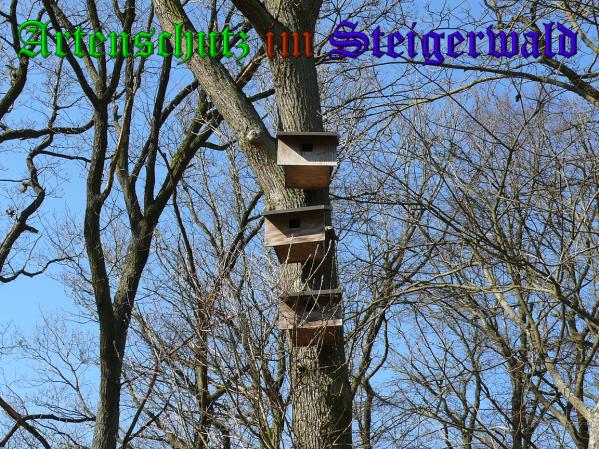Bild zum Eintrag (35688-160)