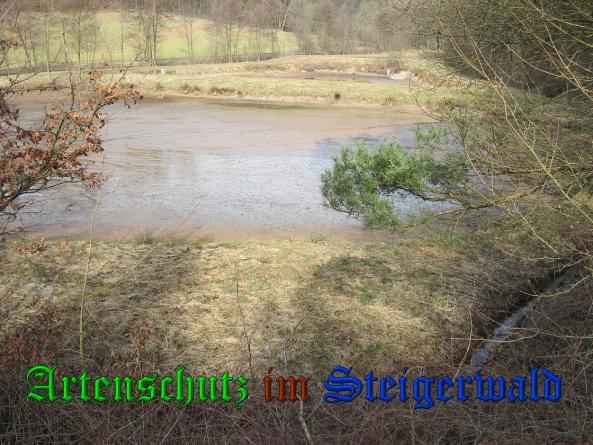 Bild zum Eintrag (35843-160)